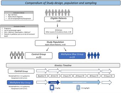 Methylene blue therapy in addition to standard treatment for acute-phase septic shock: a pilot randomized controlled trial